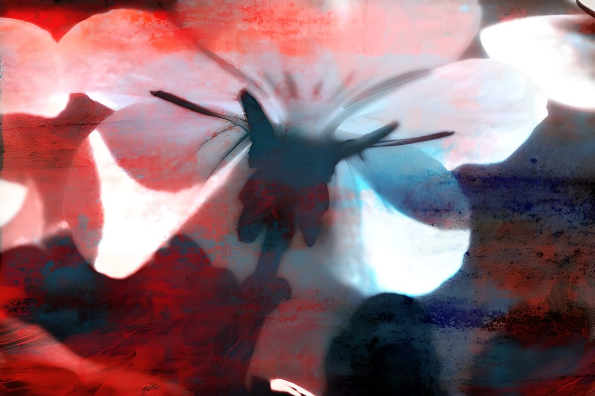 Flor abstracta en rojo, blanco y azul