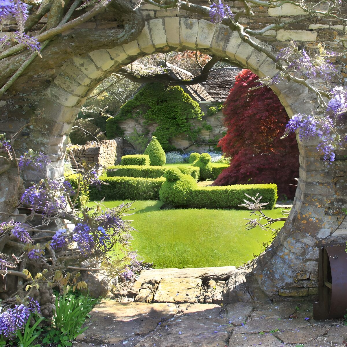 La primavera se asoma entre glicinas