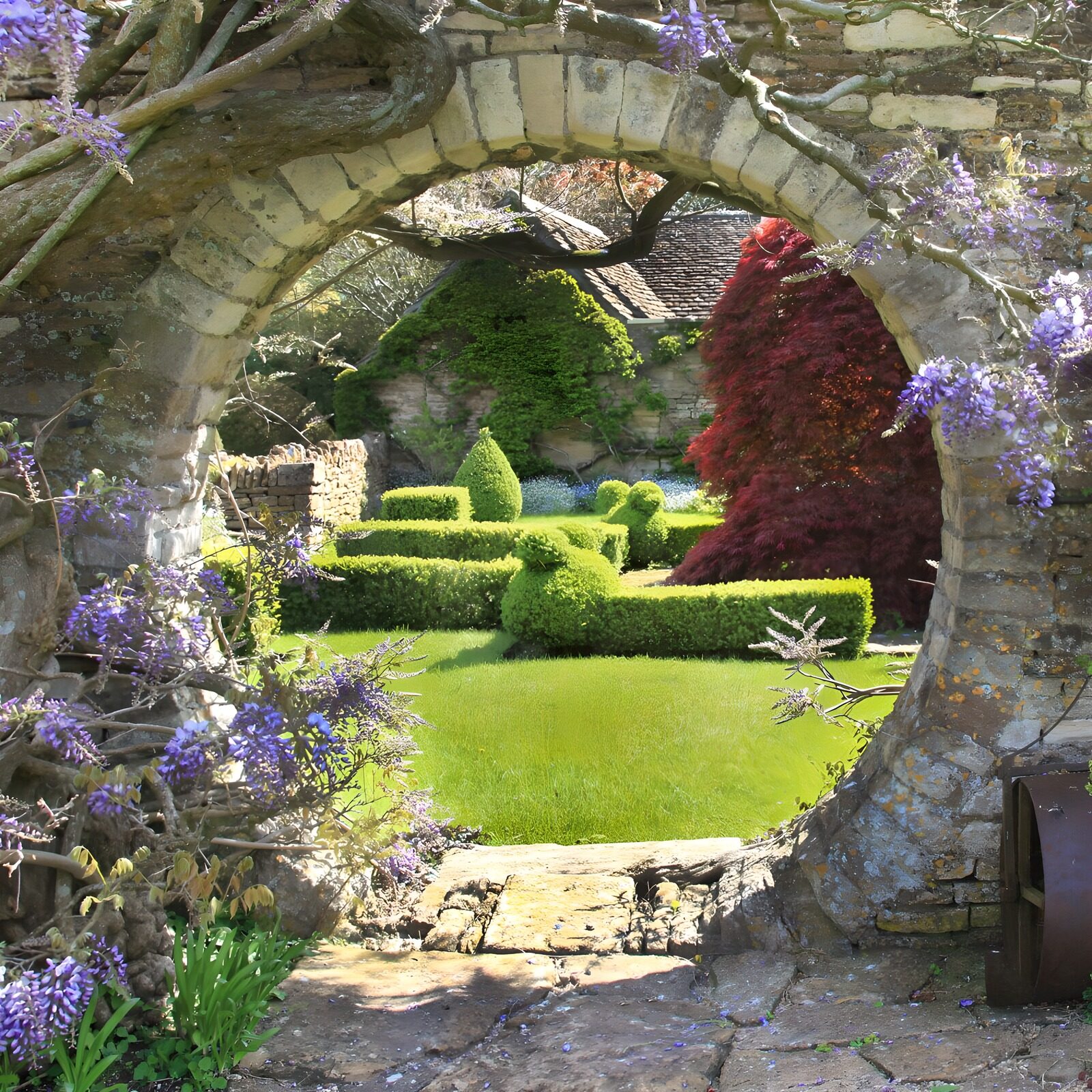TPES10557: La primavera se asoma entre glicinas