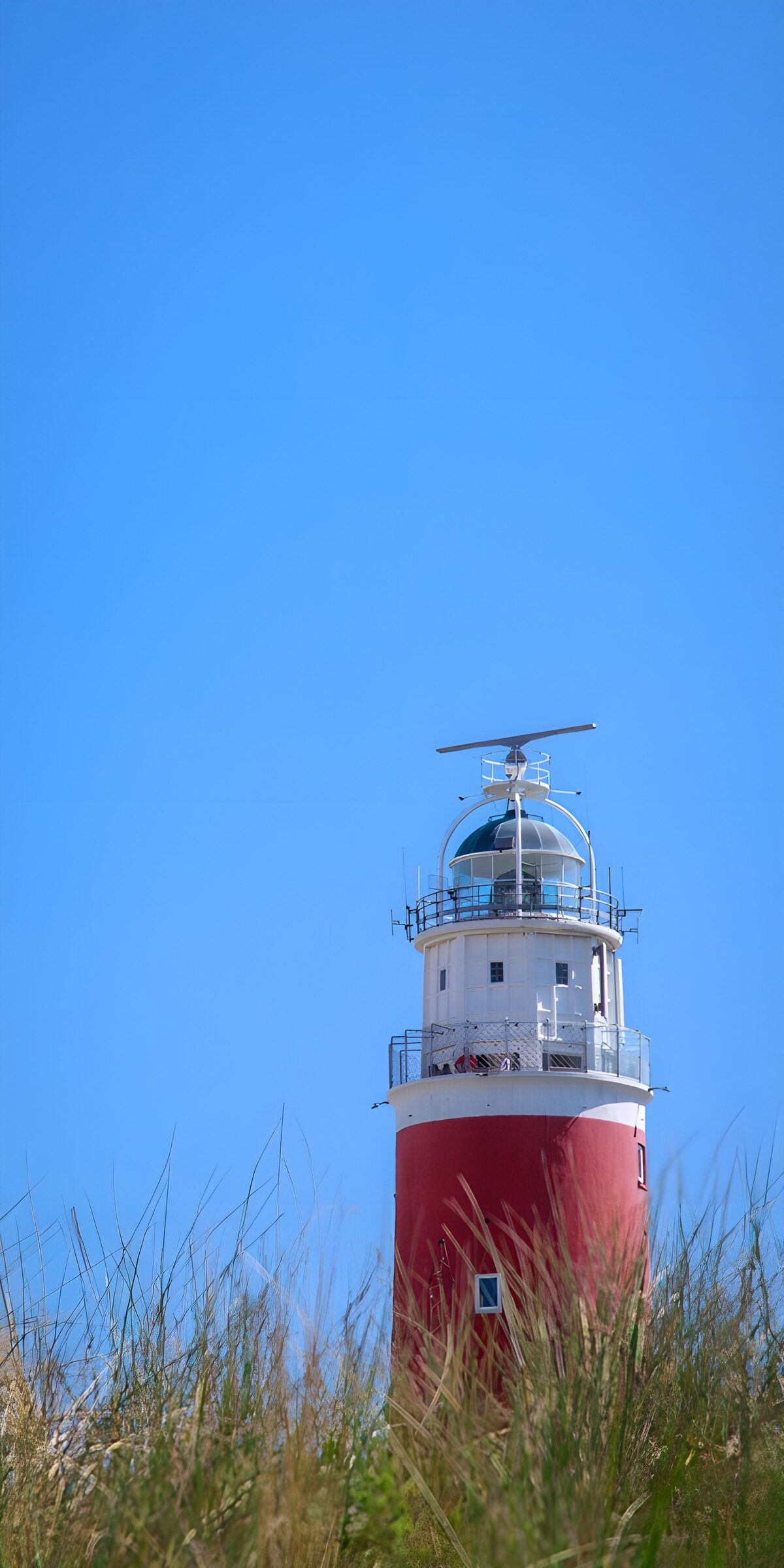 Faro rojo y blanco entre hierbas