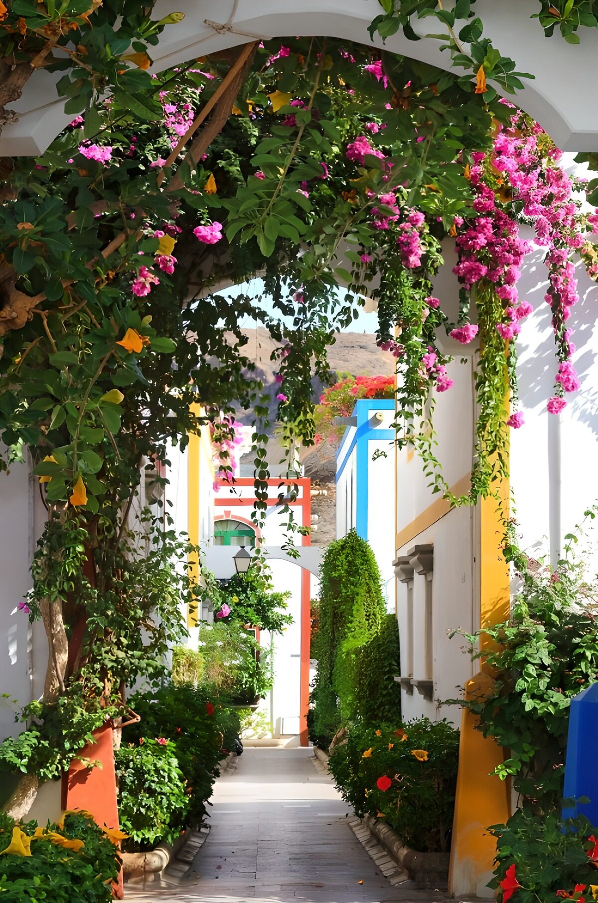 Callejón blanco entre flores y sol