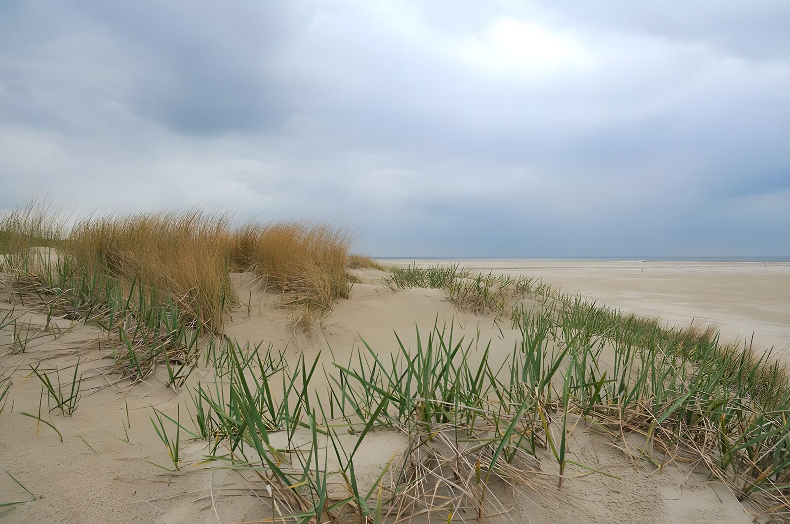 TPES10045: Dunas y playa bajo un cielo nublado