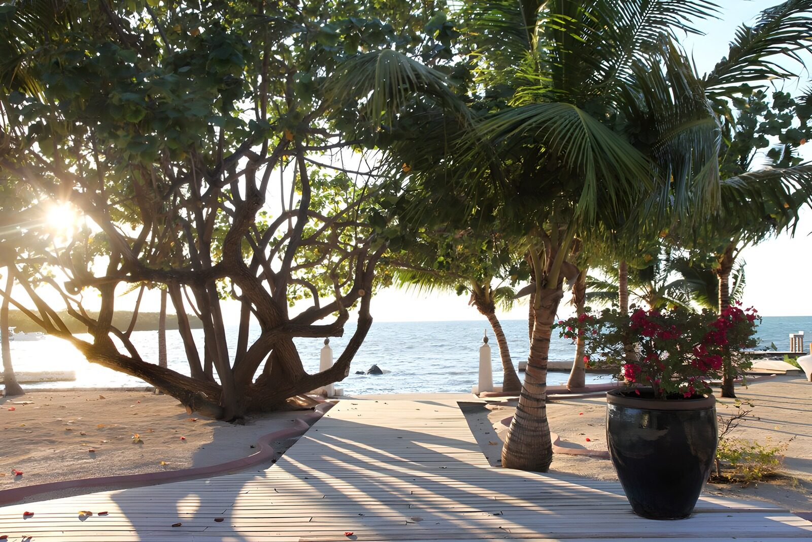 TPES40216: Pasarela entre palmeras junto al mar