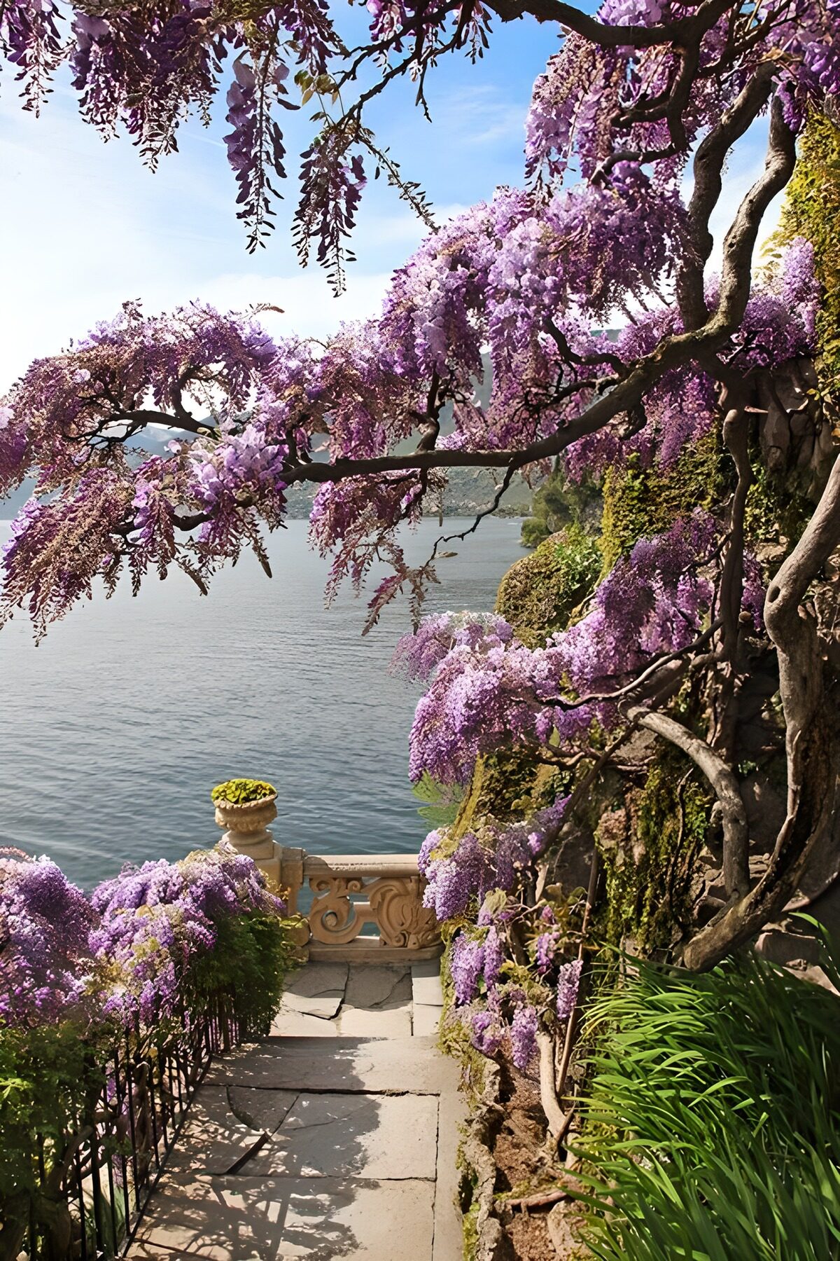 Glicinias y escaleras junto al lago