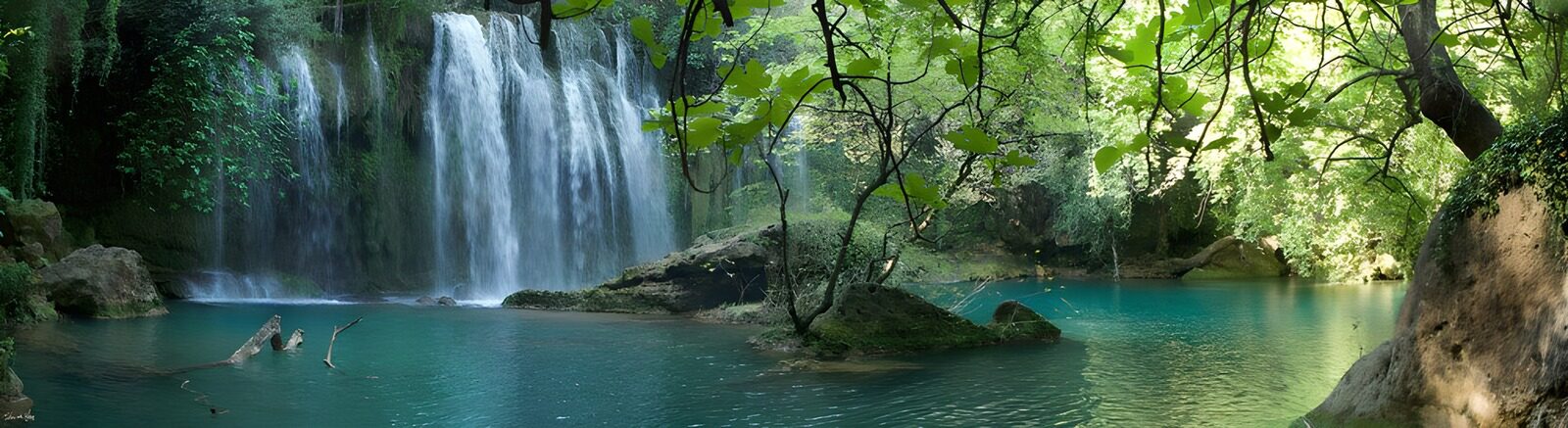 TPES86653: Cascada y poza turquesa entre el verde