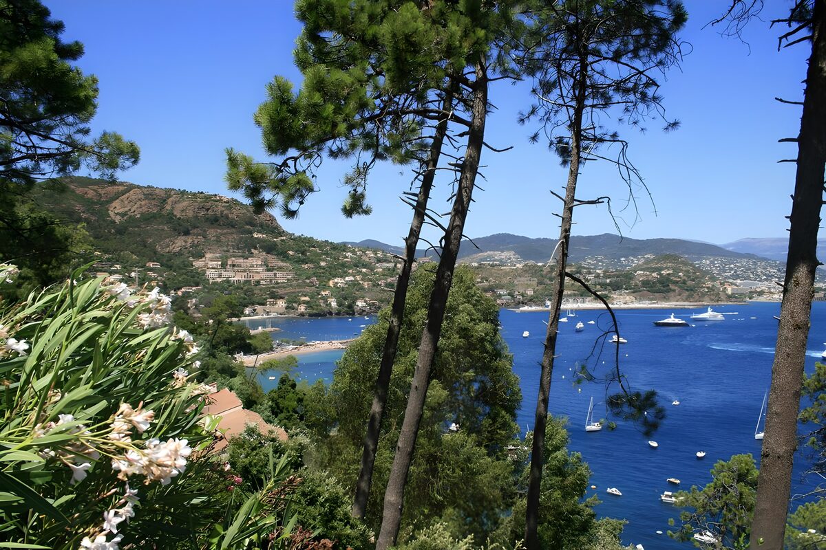 Bahía azul con barcos entre pinos
