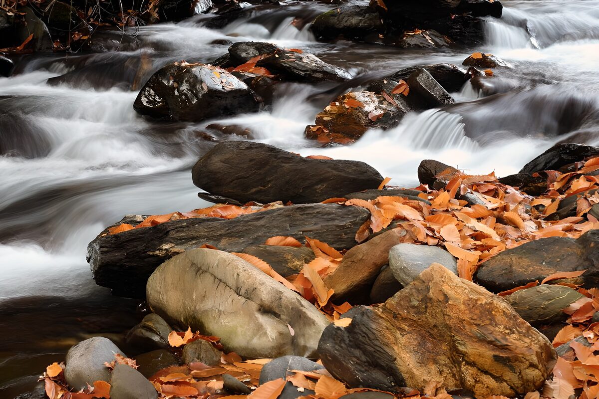 TPES87335: Agua de seda entre rocas y hojas