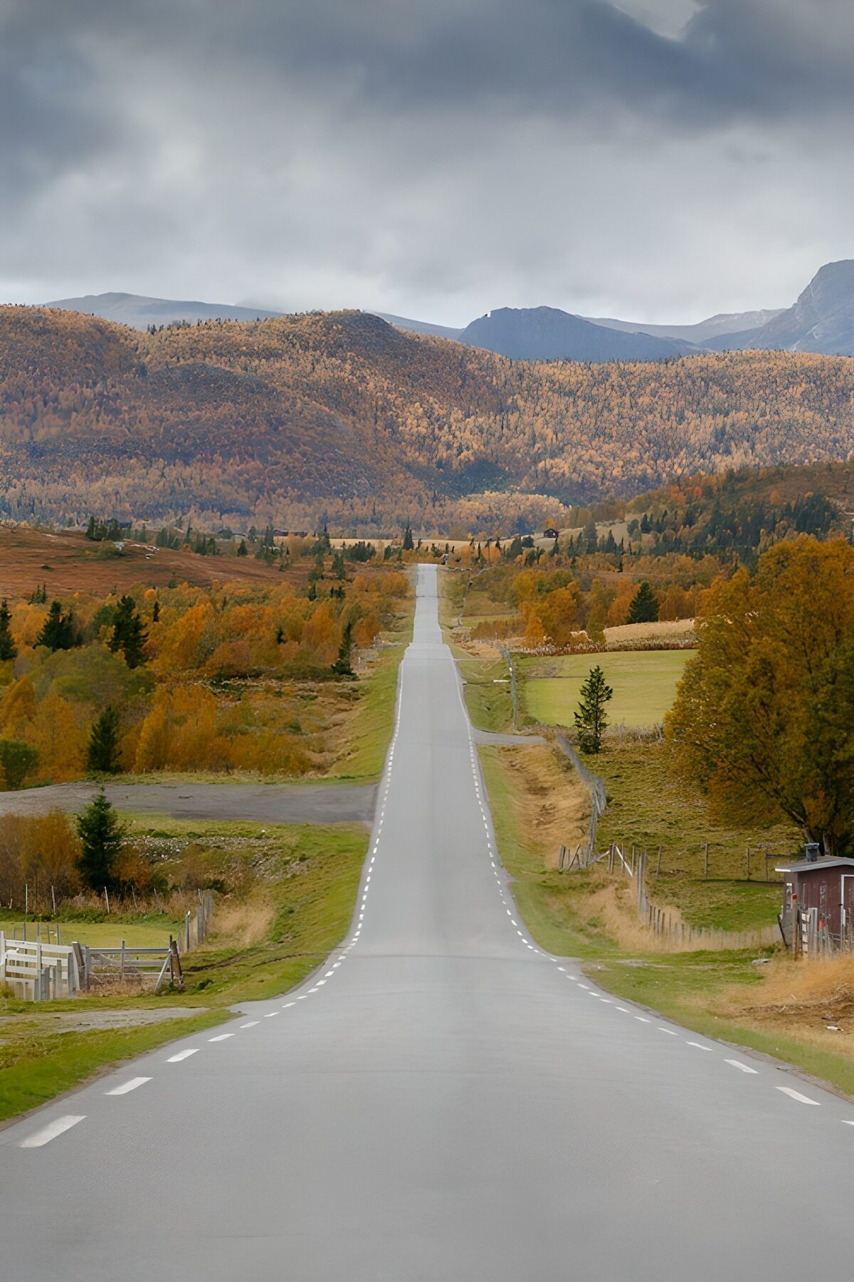 TPES22692: Carretera recta en un valle de otoño