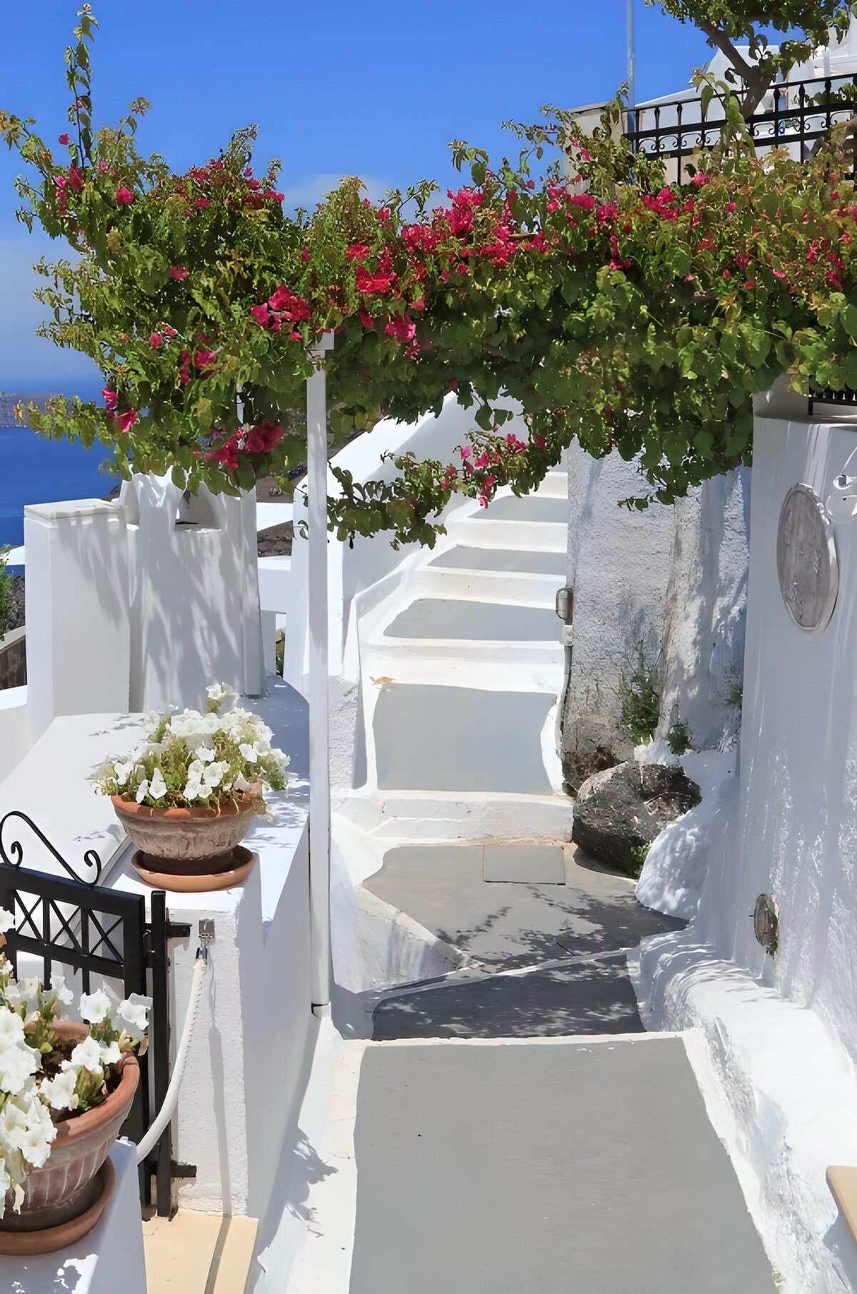 Escalera blanca bajo la buganvilla