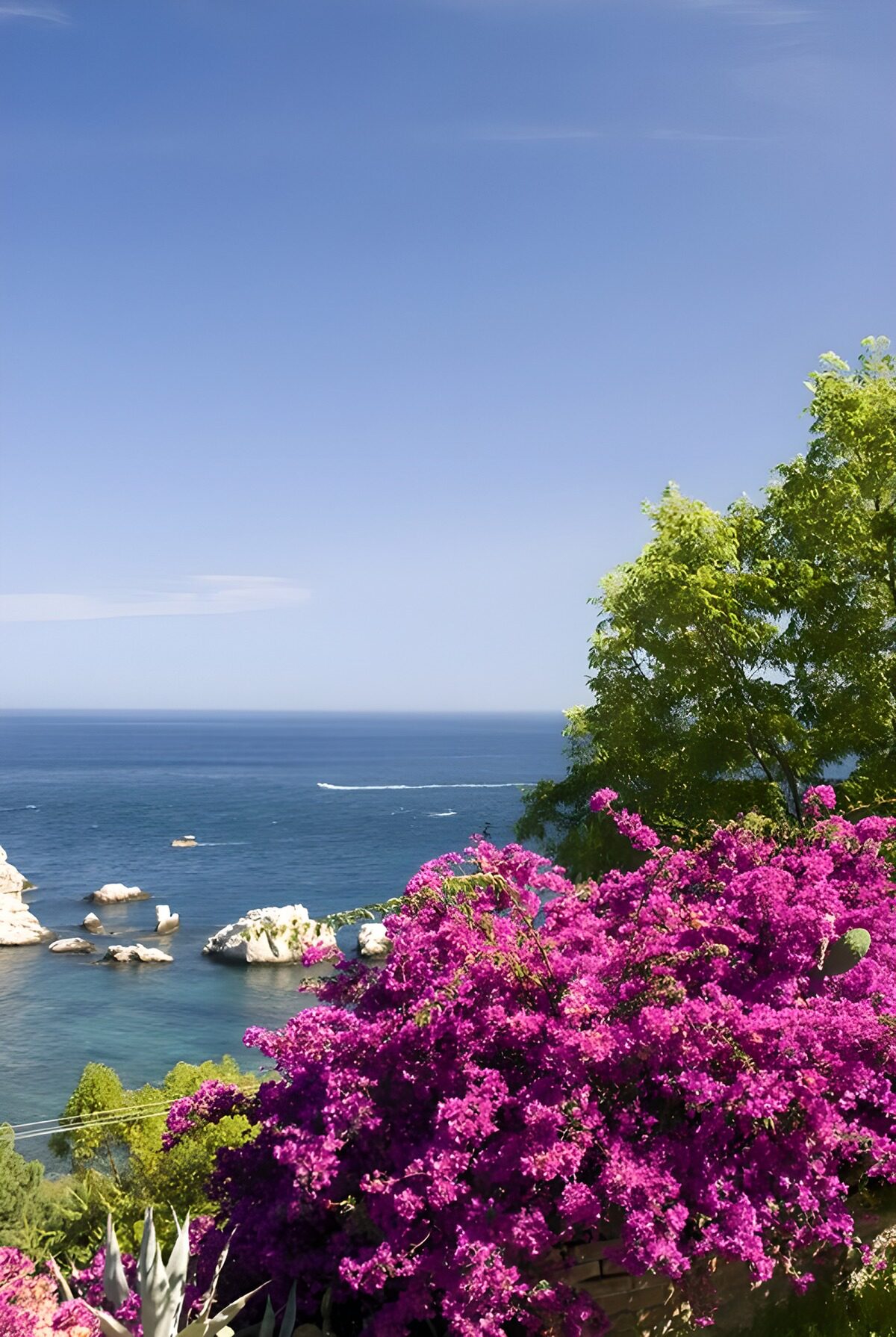 Buganvilla junto al mar turquesa