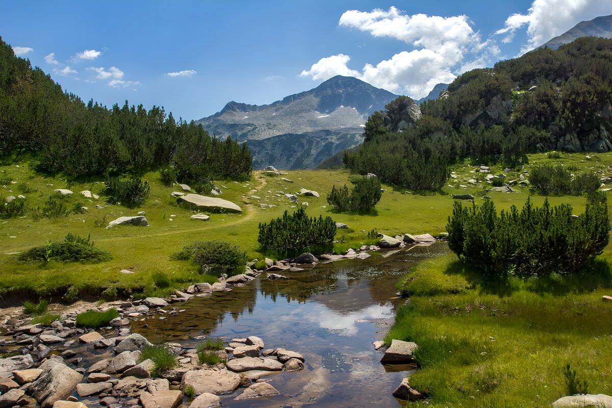 TPES99335: Arroyo al sol en una pradera de montaña