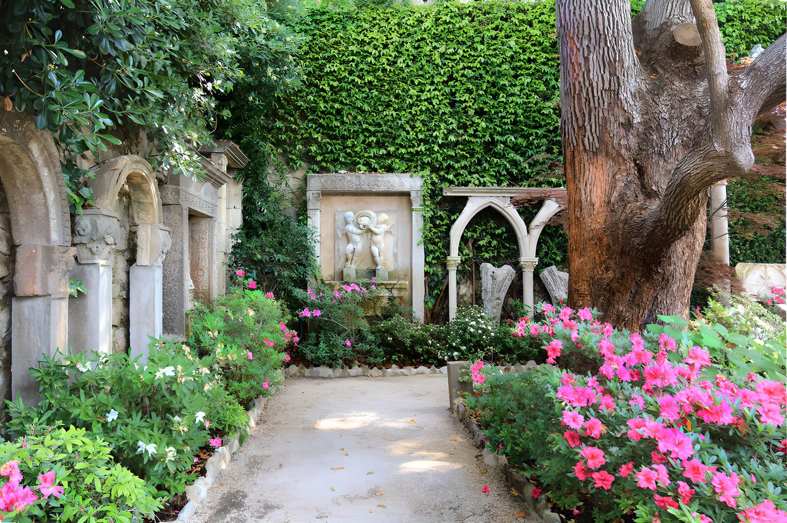 TPES90190: Jardín con arcos y flores rosas