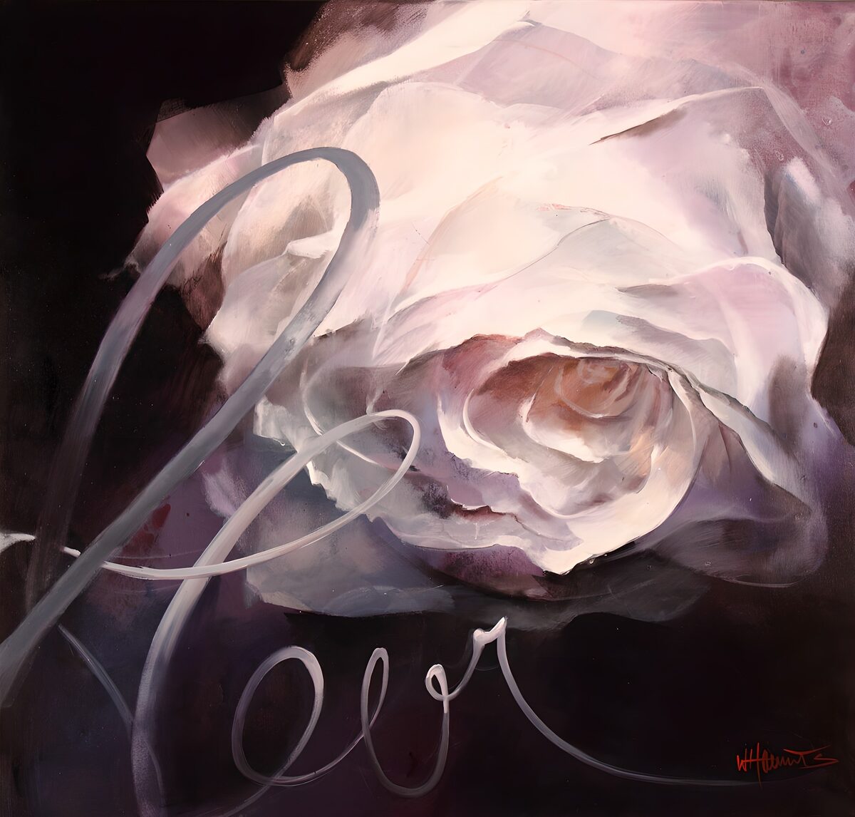 Rosa blanca y rosada en claroscuro