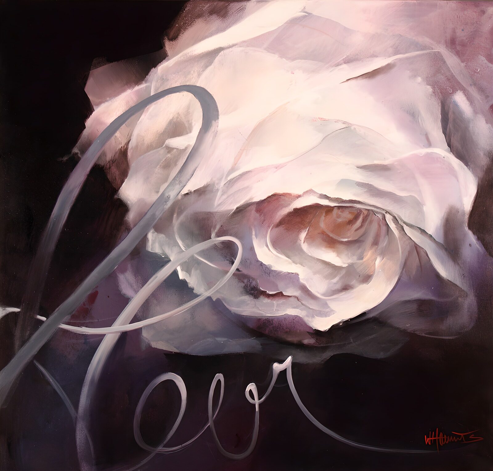 TPES11107: Rosa blanca y rosada en claroscuro