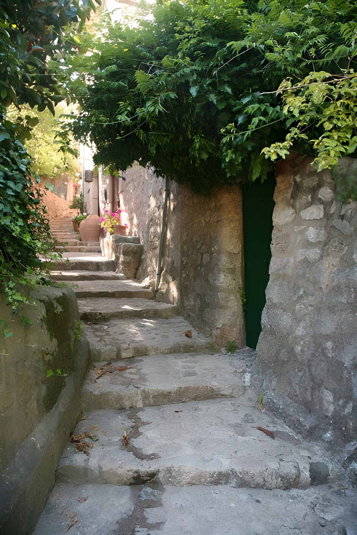 TPES36820: Callejón de piedra a la sombra verde