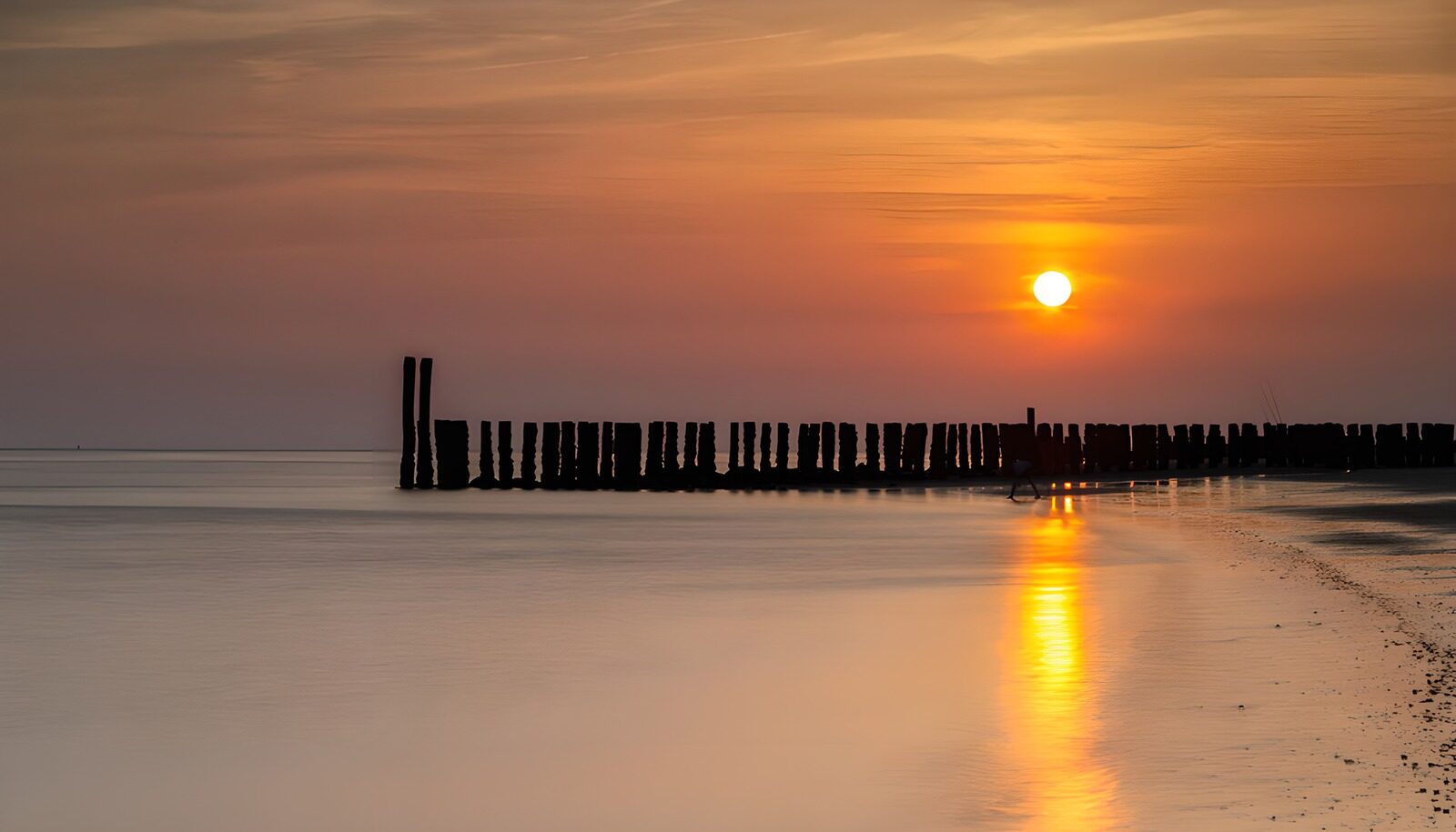 TPES80154: Rompeolas de madera bajo un cielo naranja