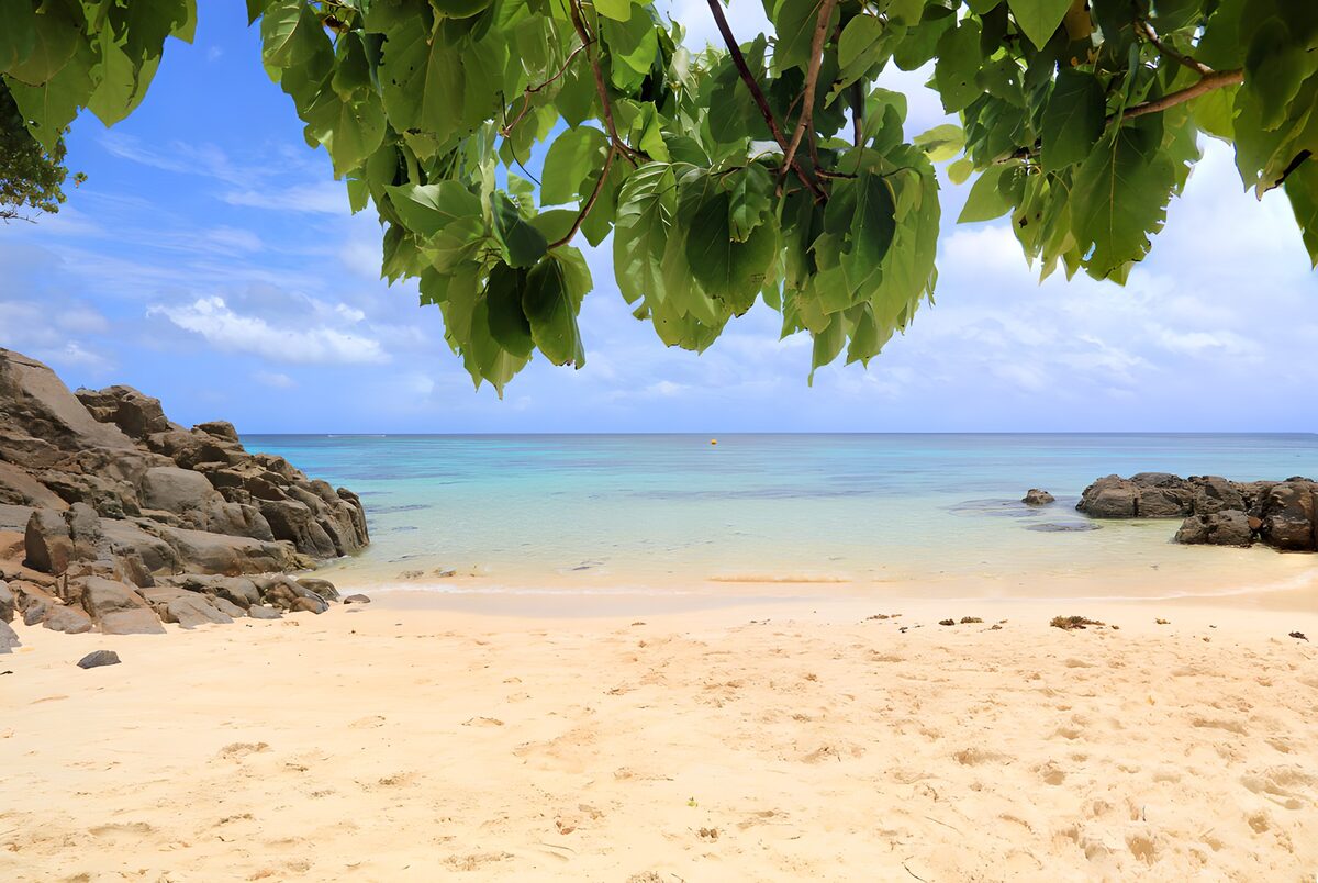 TPES89581: Playa de arena y aguas turquesas
