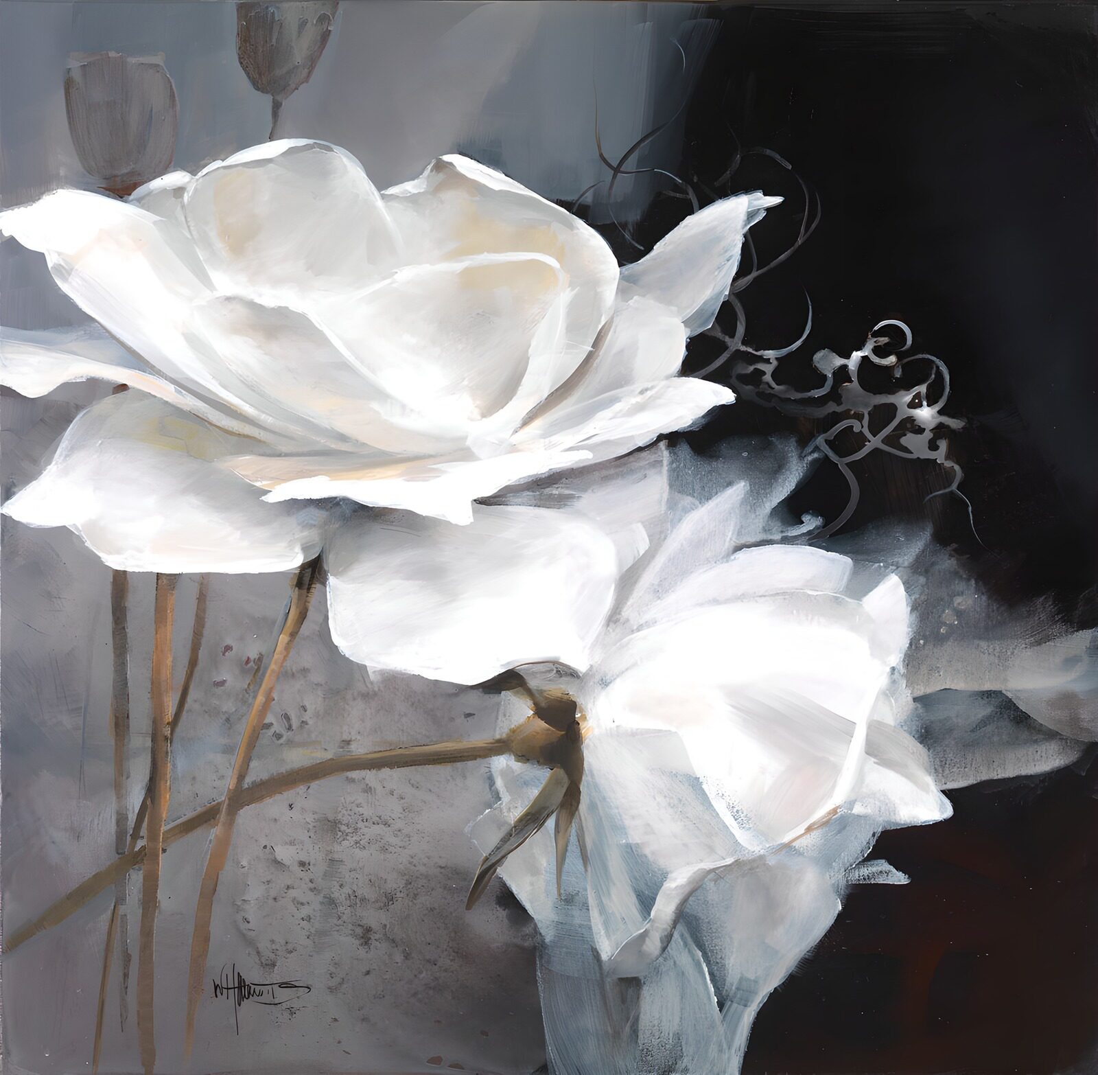 TPES39076: Dos flores blancas sobre gris y negro