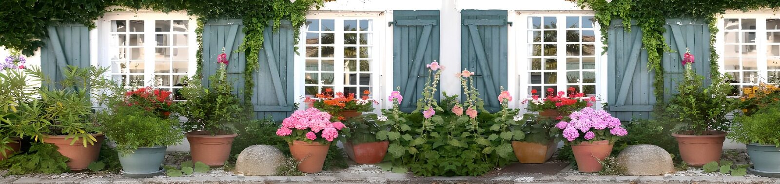 TPES80345: Fachada blanca con flores a rebosar