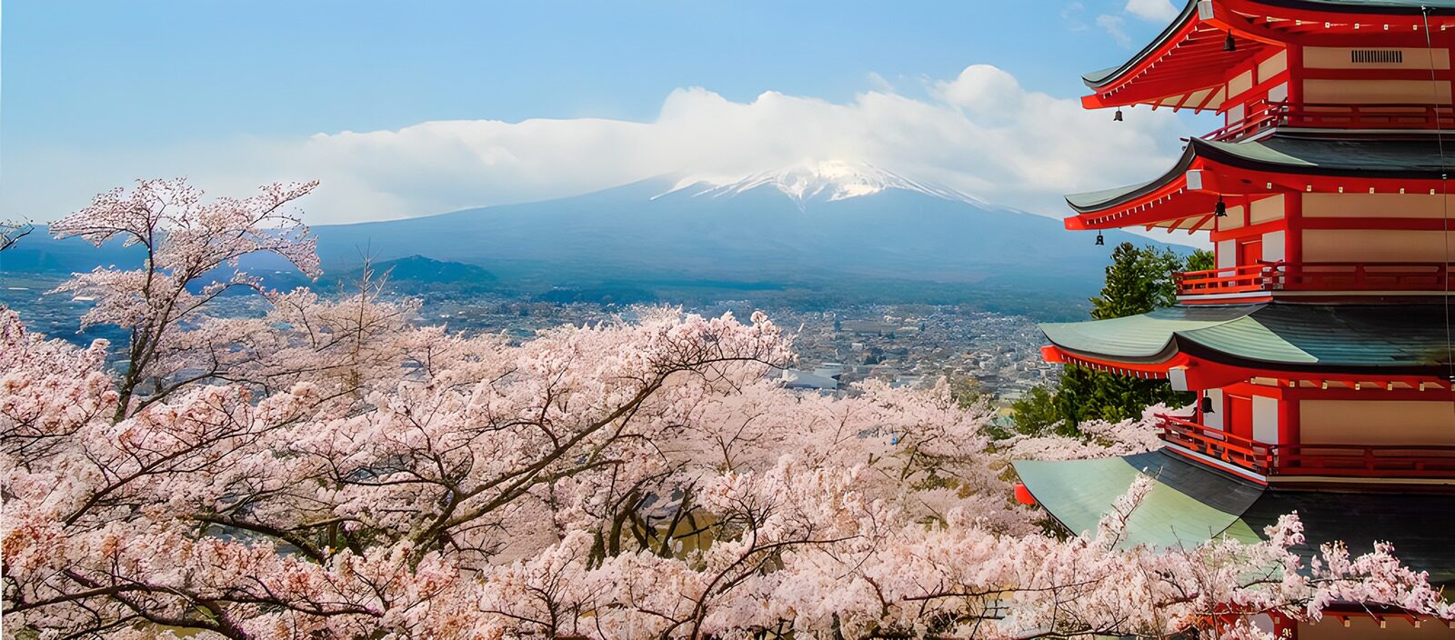 TPES51118: Monte Fuji, pagoda y cerezos en flor