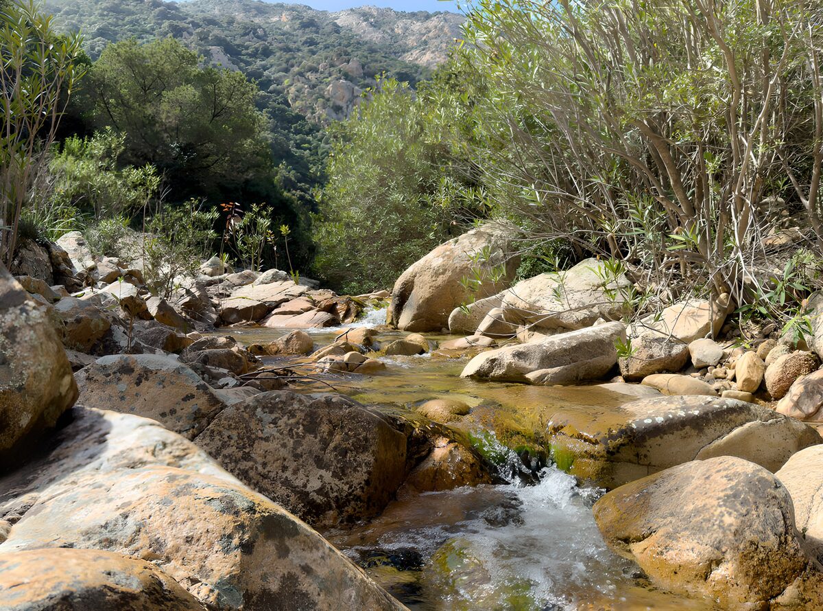 Arroyo entre rocas a pleno sol
