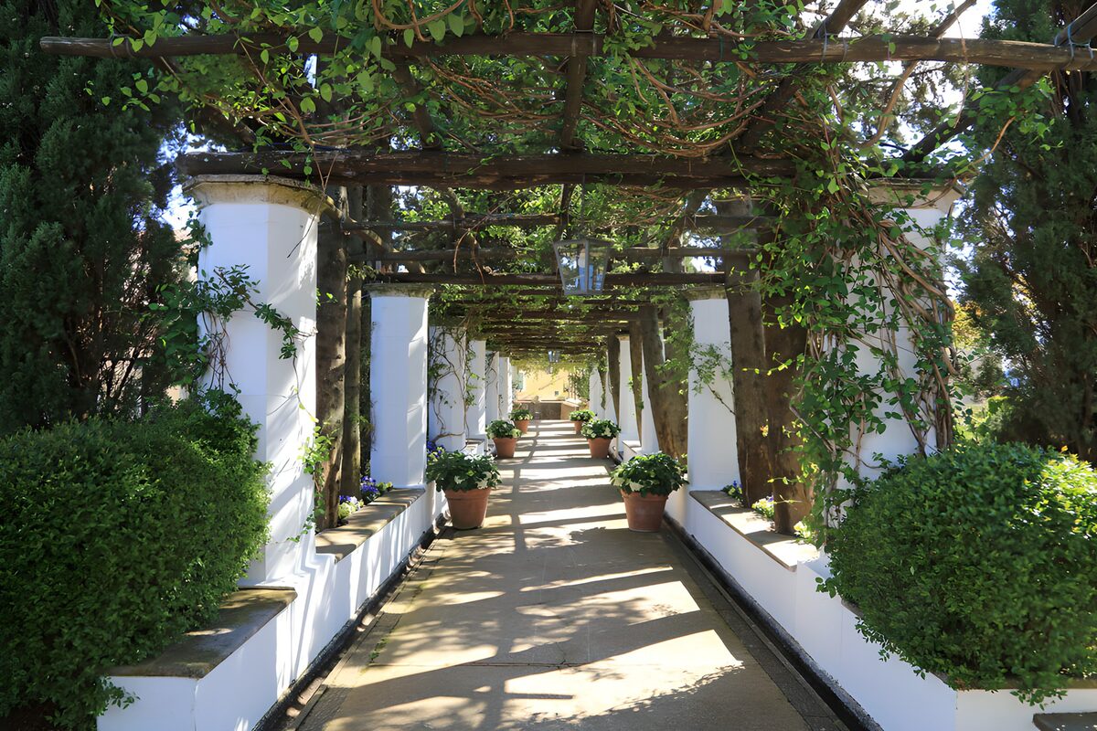 TPES89330: Pérgola y columnas blancas a la sombra