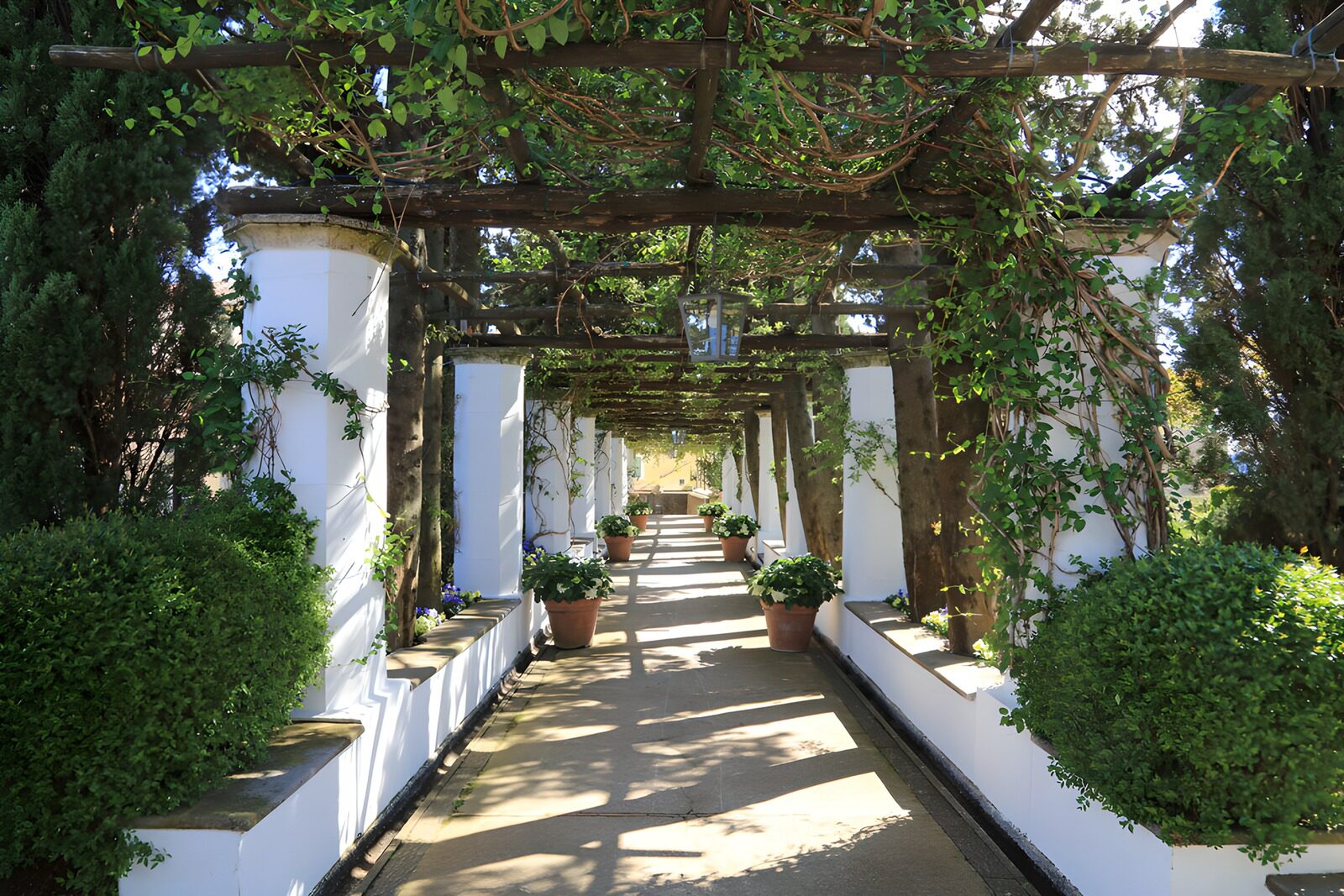 TPES89330: Pérgola y columnas blancas a la sombra