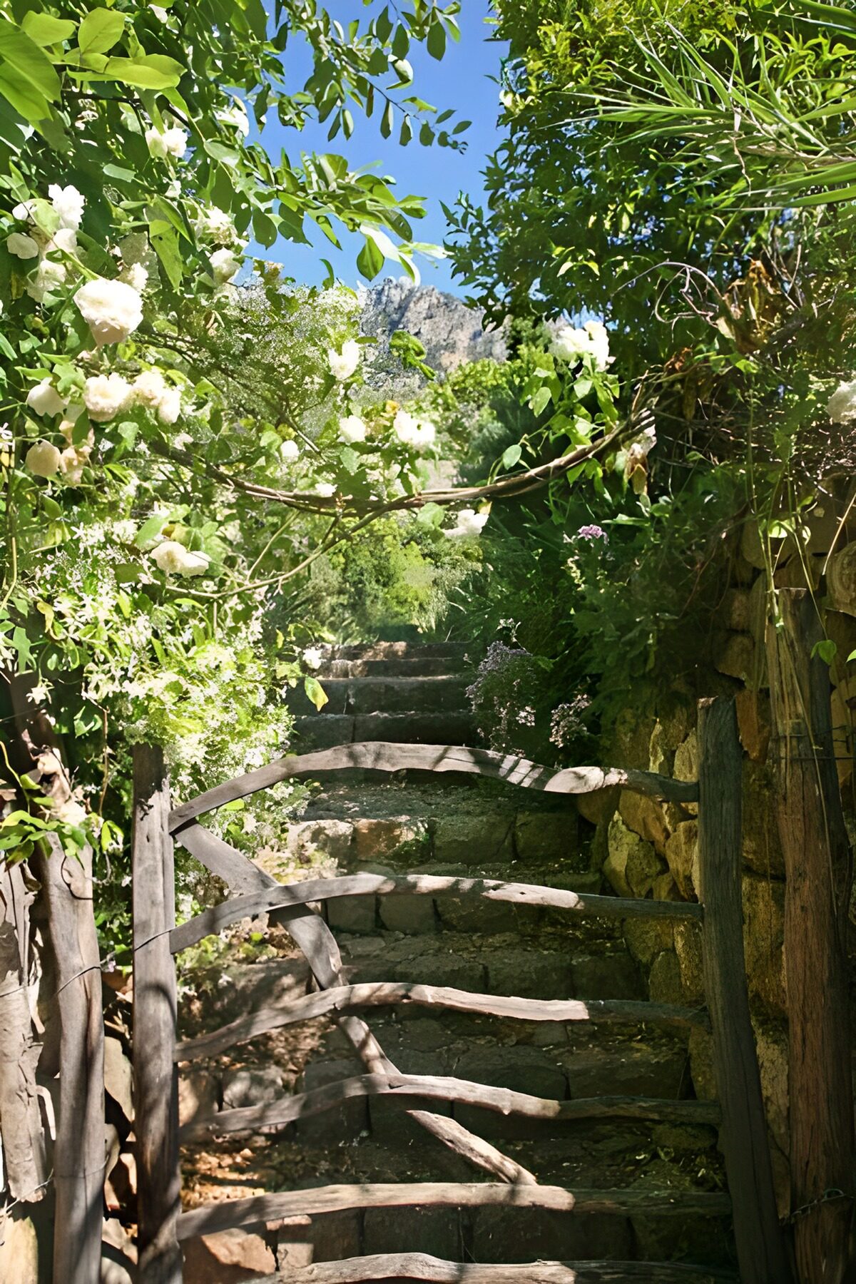 TPES98255: Escalera de piedra en un jardín al sol