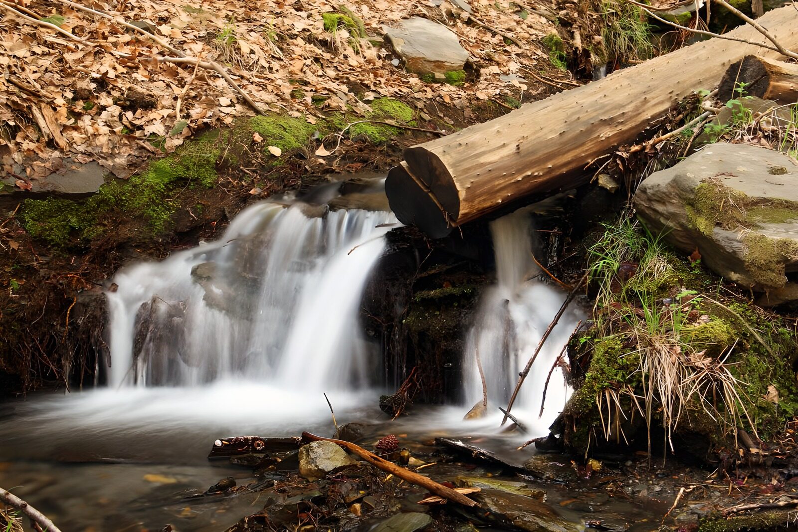 TPES67267: Pequeña cascada en un rincón del bosque
