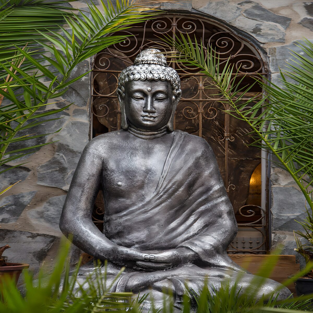 Buda gris sentado entre palmeras