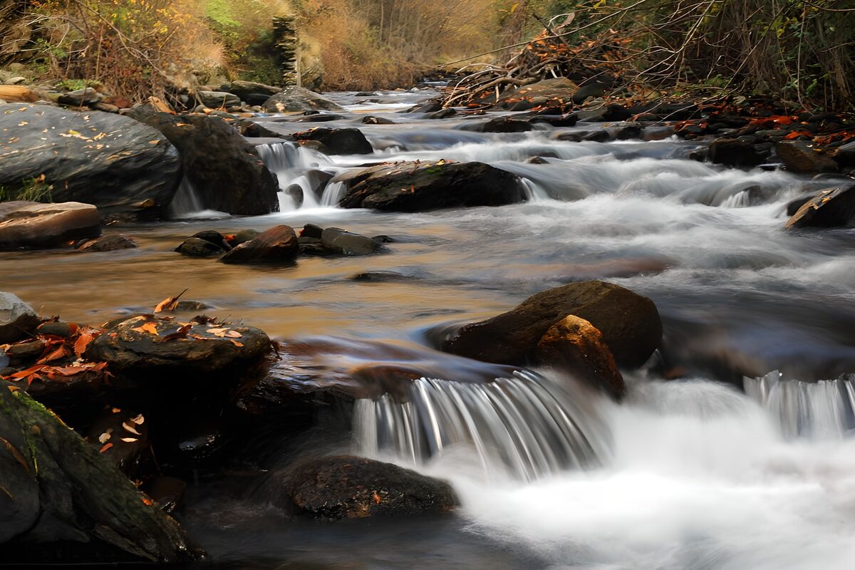 TPES19834: Arroyo entre rocas en la calma del otoño
