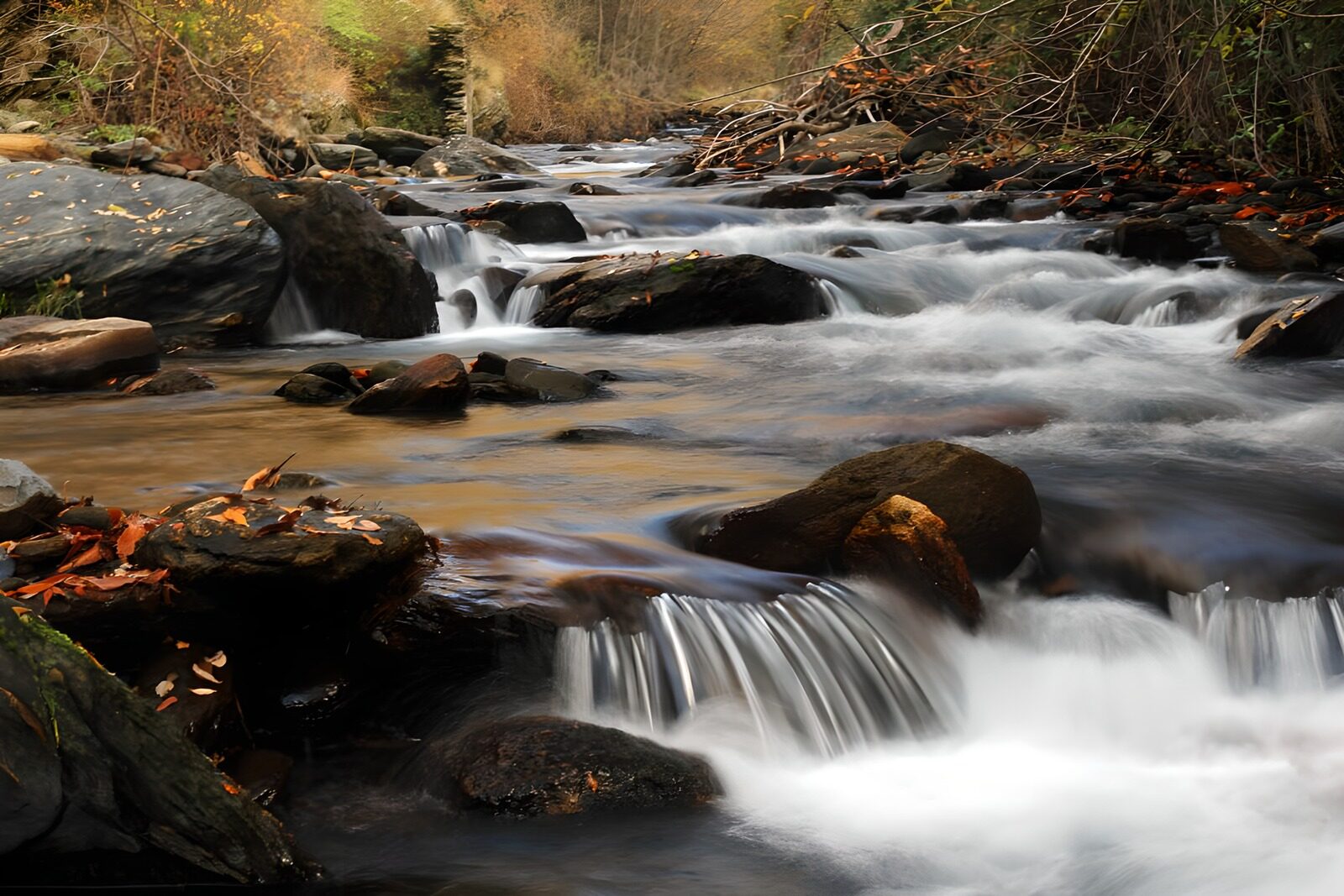 TPES19834: Arroyo entre rocas en la calma del otoño