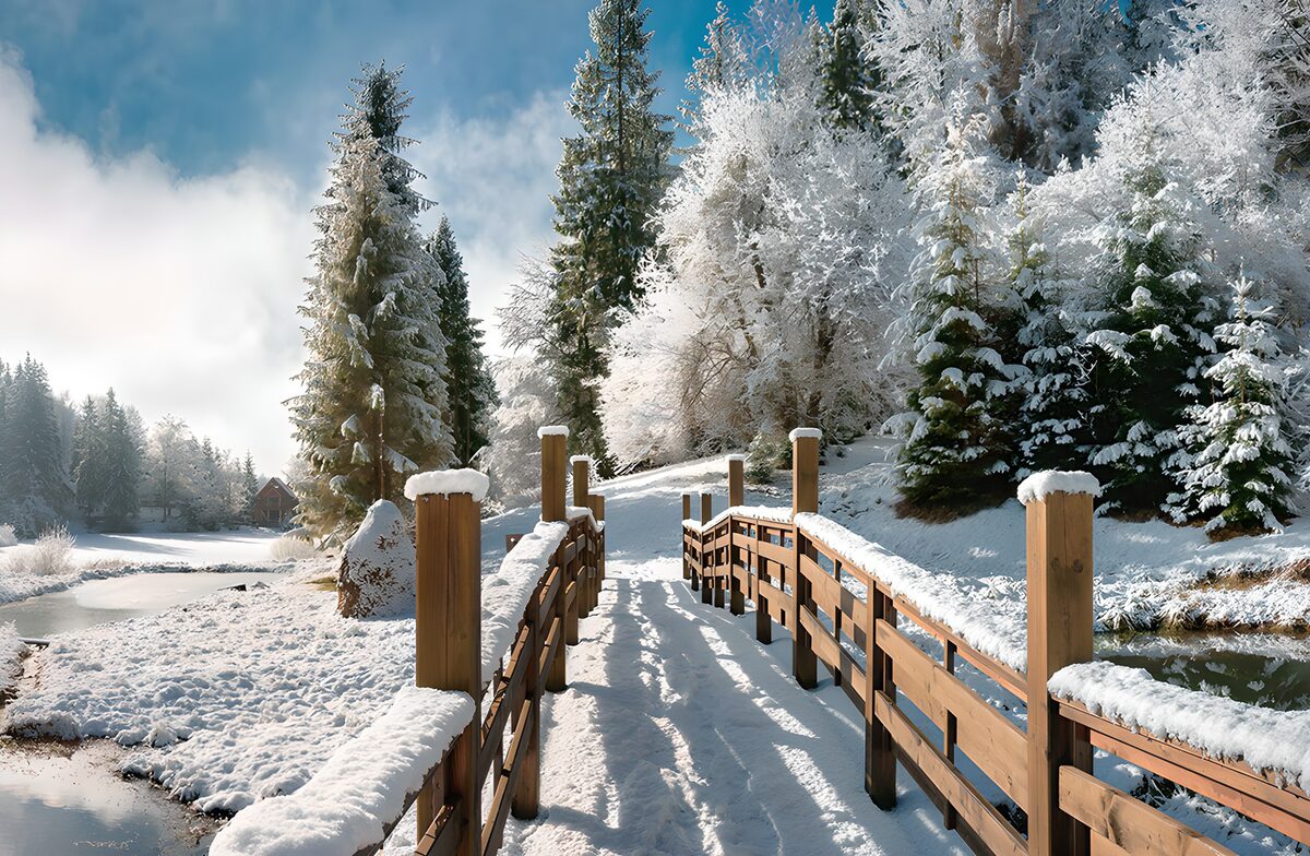 Puente de madera al sol de invierno