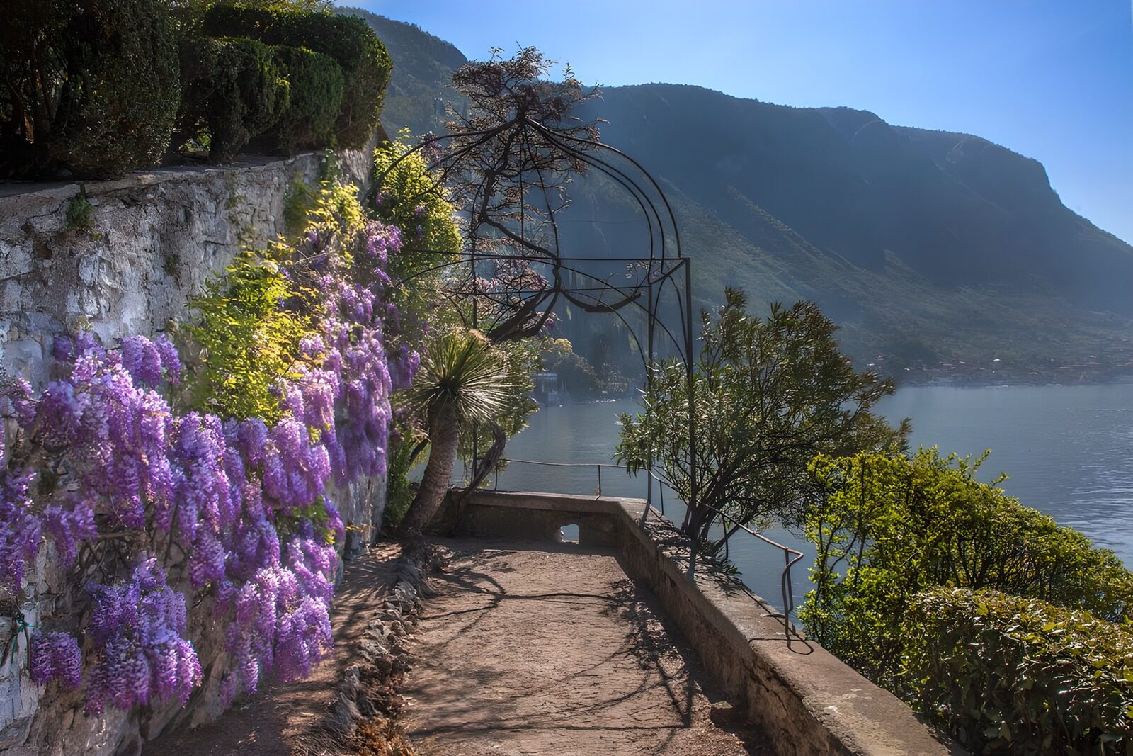 TPES33443: Sendero con flores moradas junto al lago