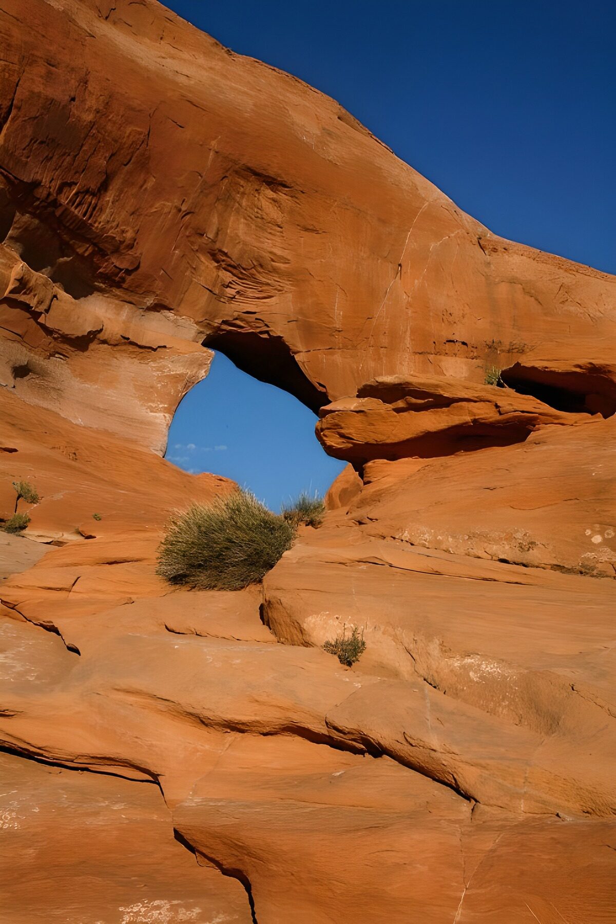 Arco de arenisca roja bajo el cielo azul