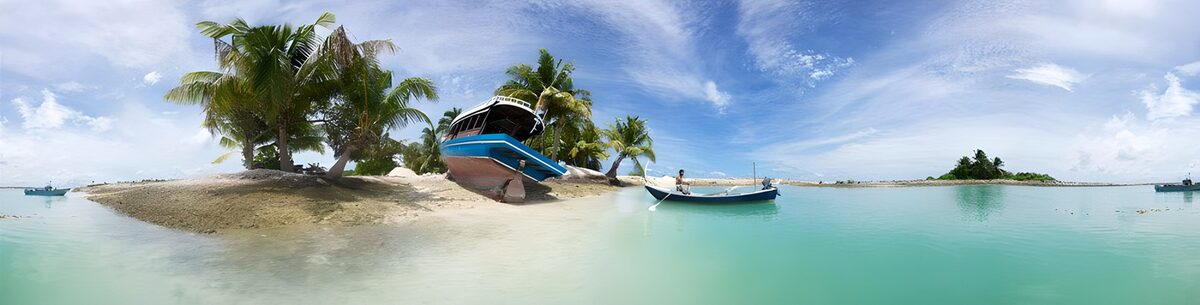 Palmeras al cielo, barcas al sol