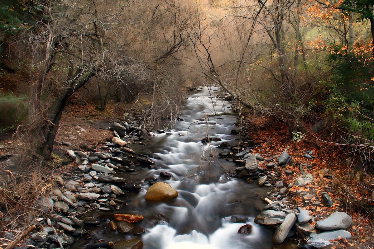 Agua de seda en el bosque de otoño