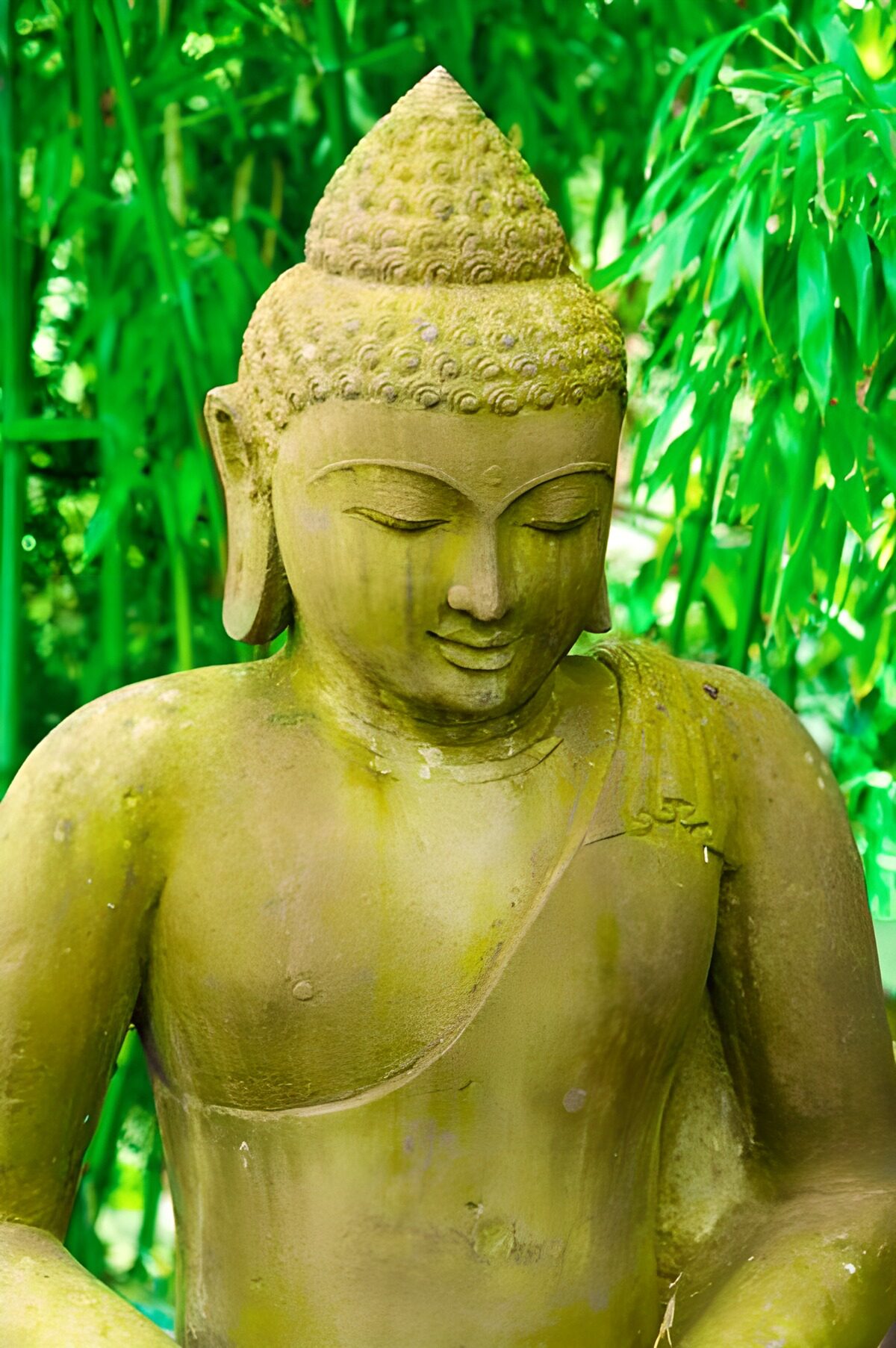 Estatua de Buda entre bambú verde