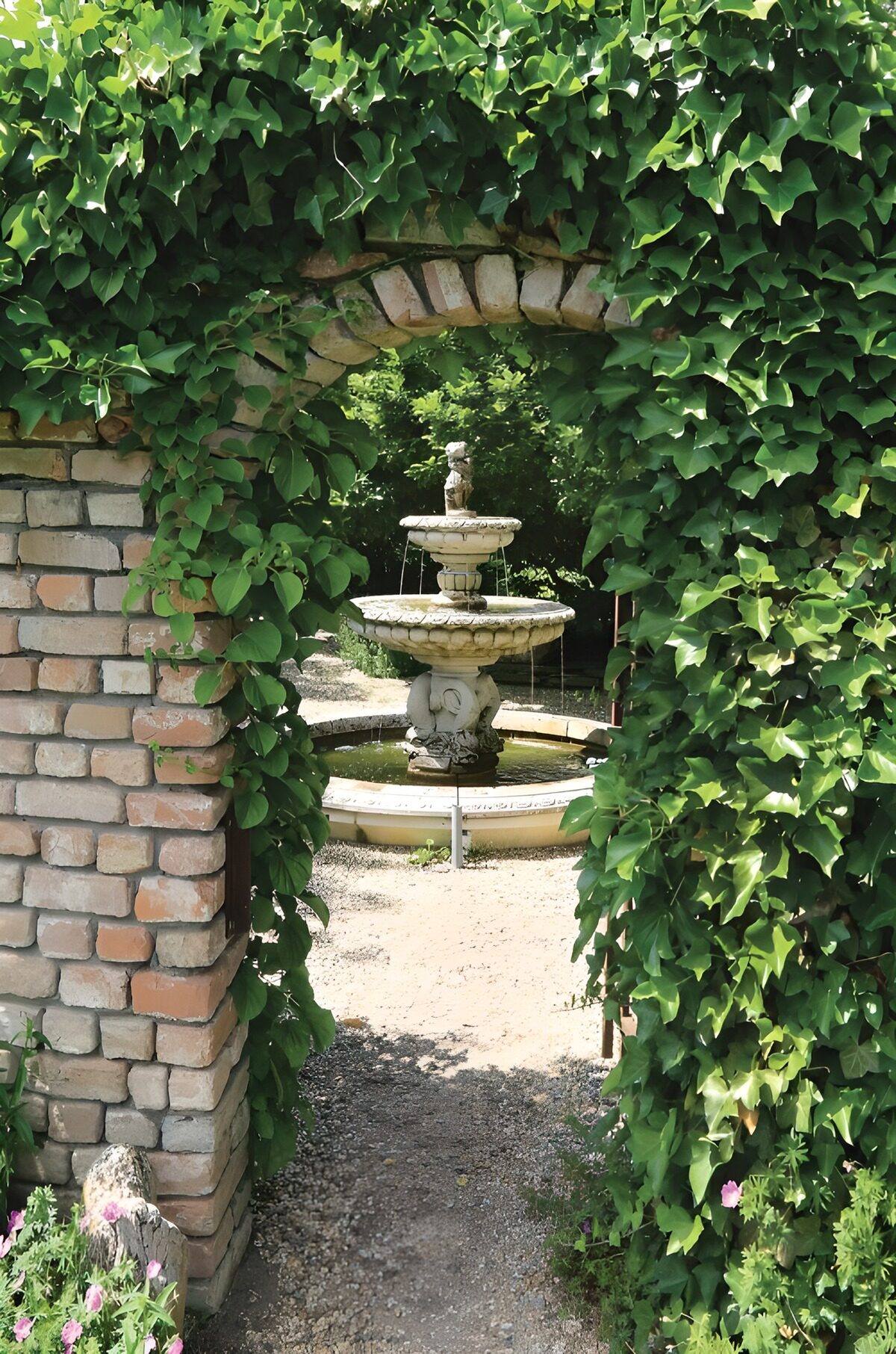 TPES73494: El jardín se asoma entre la hiedra