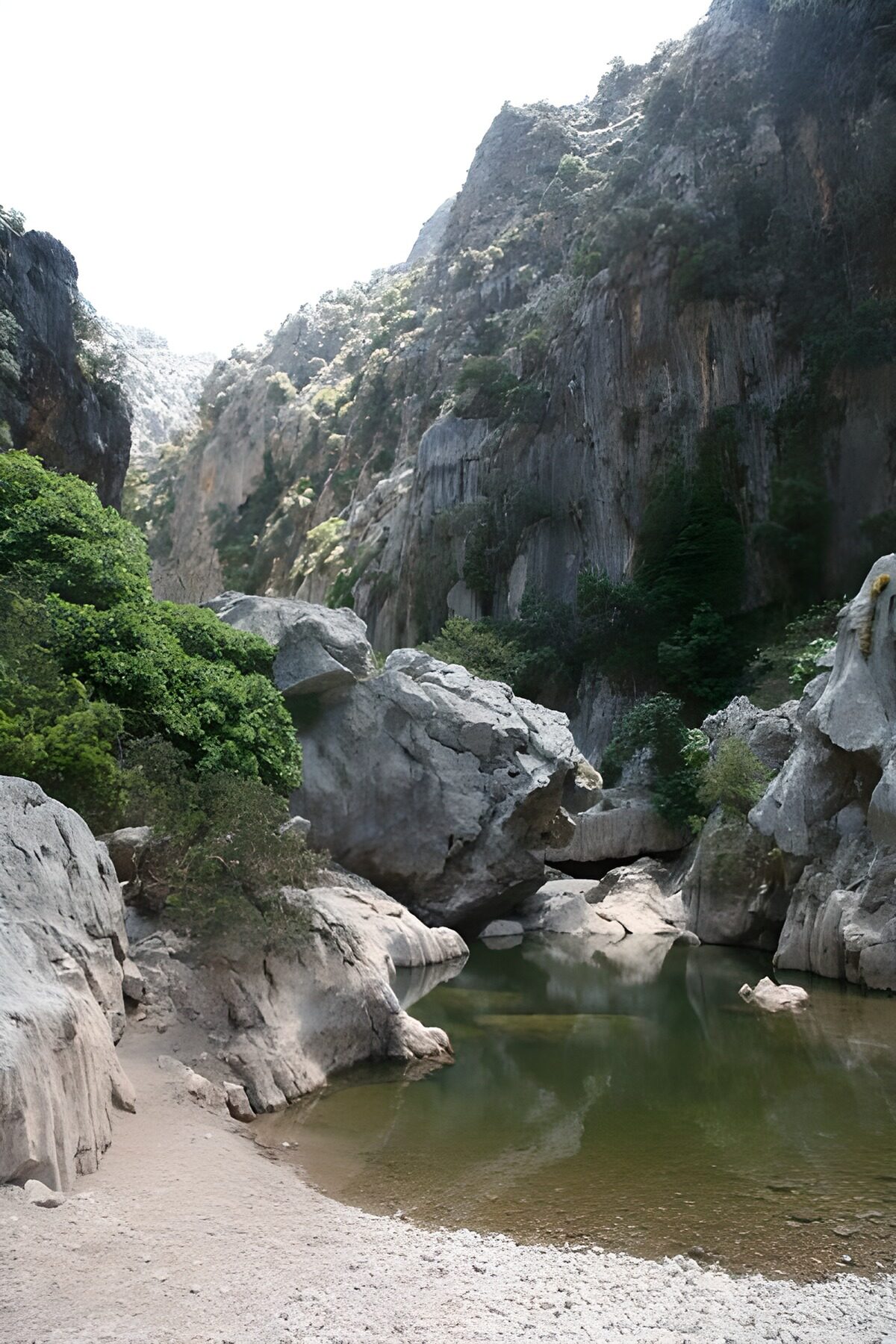 TPES57722: Poza verde al abrigo de las rocas