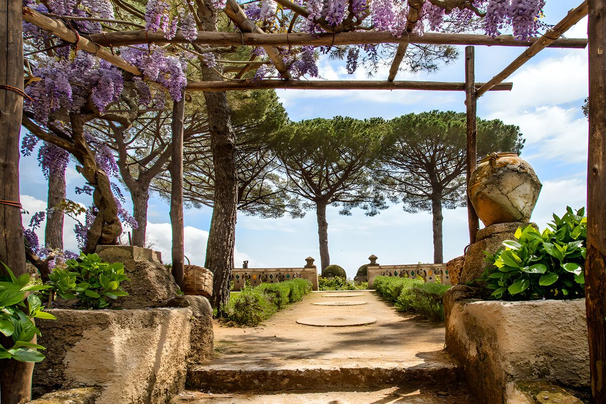 TPES75821: Pérgola con glicinias y camino al sol