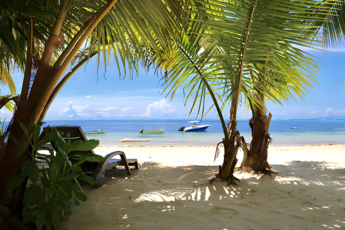 Playa de palmeras y barcas al sol