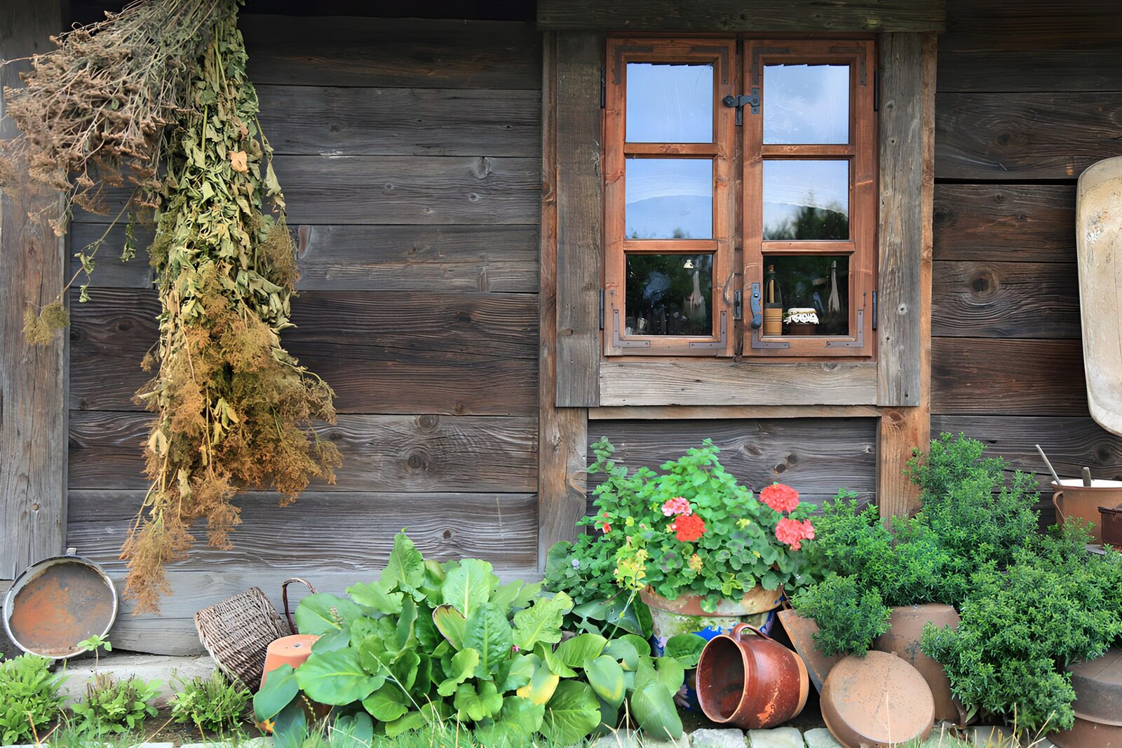 TPES38739: Ventana de madera entre macetas