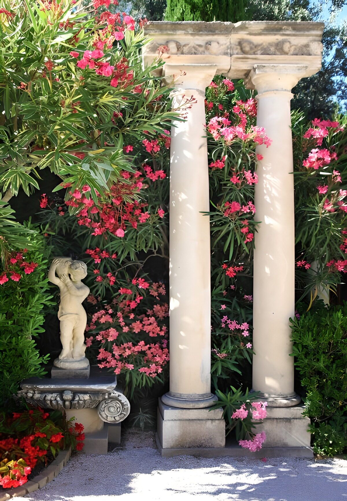 TPES66374: Columnas clásicas entre adelfas rosas
