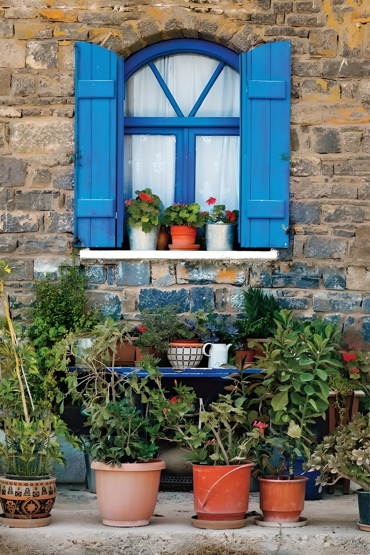 Ventana azul con un jardín de macetas