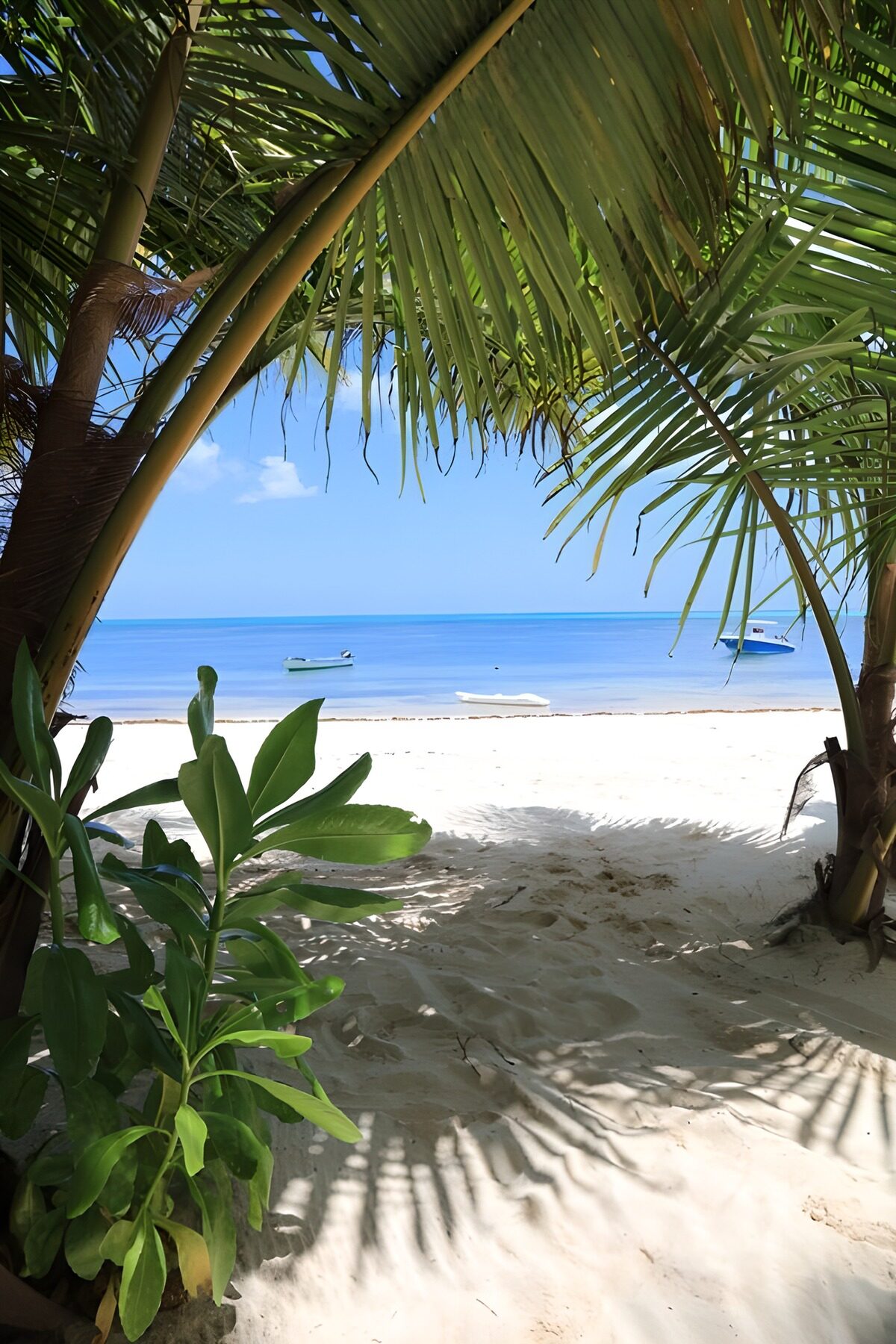 Un mar turquesa entre brazos de palmera