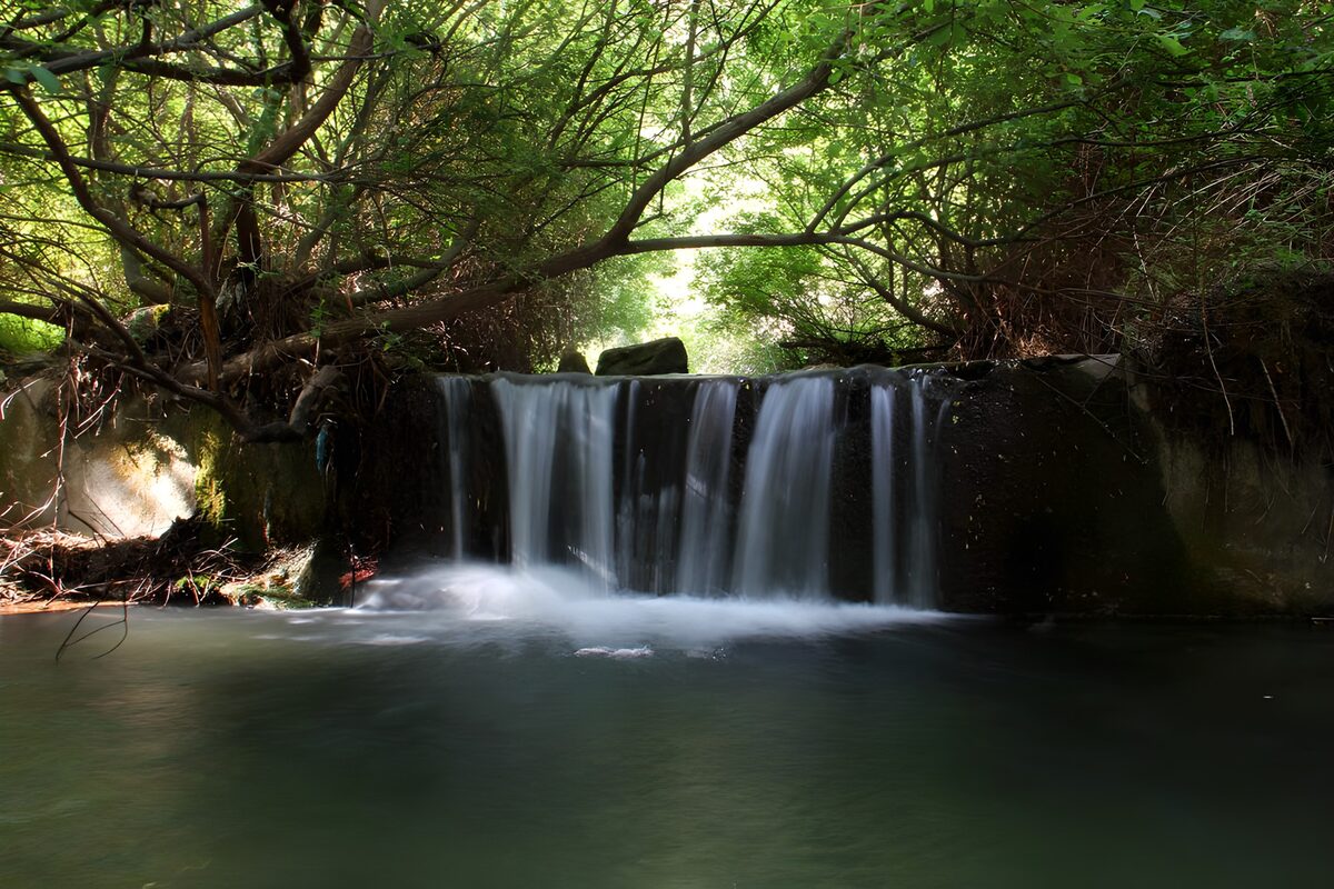 Pequeña cascada entre árboles