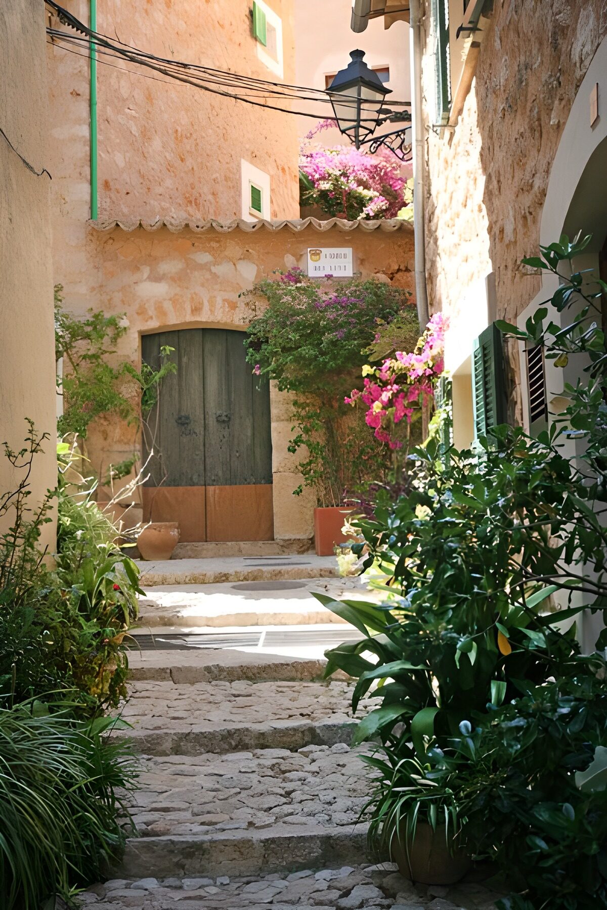 Callejón de piedra entre flores y macetas