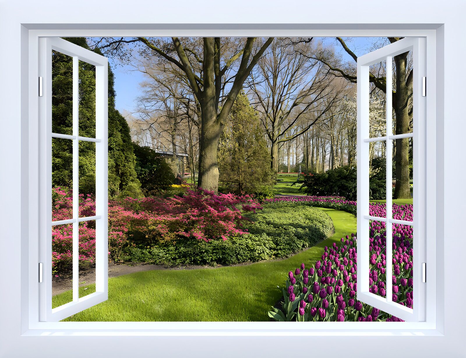 TPES83972: La primavera se asoma a la ventana