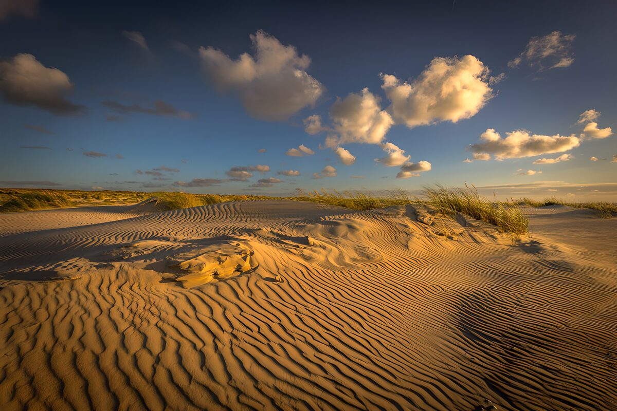 Dunas doradas bajo un cielo de nubes